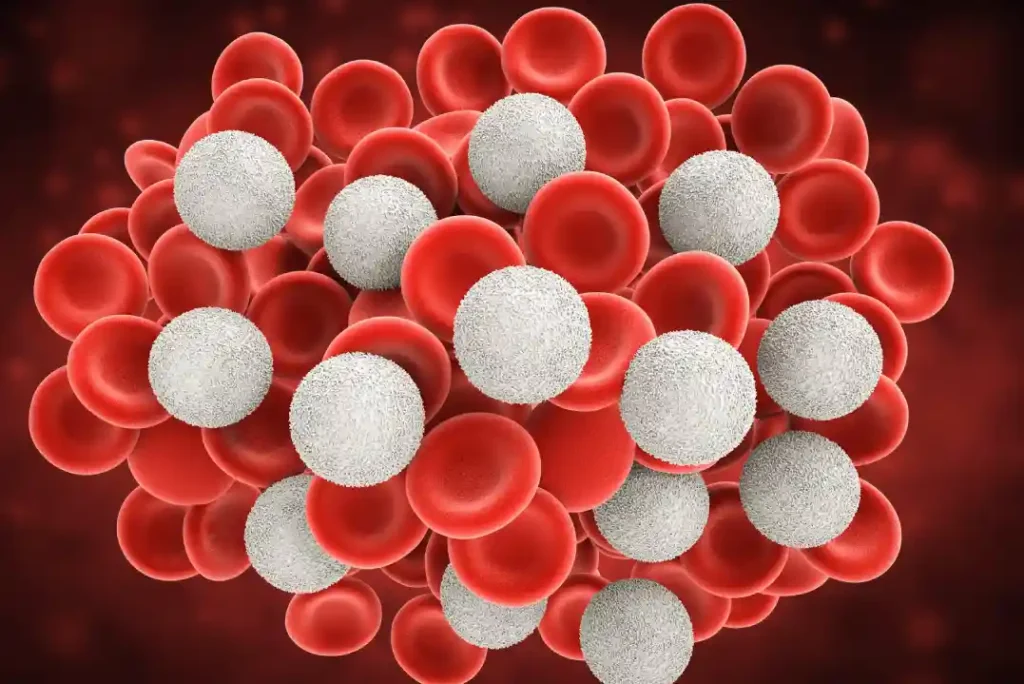Causes and Results of High White Blood Cells